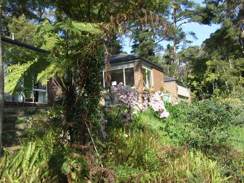 6 Clematis Road, Mount Evelyn VIC 3796