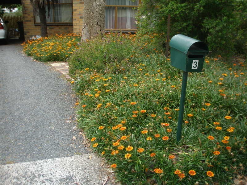 3 Wyuna Walk, Mooroolbark VIC 3138