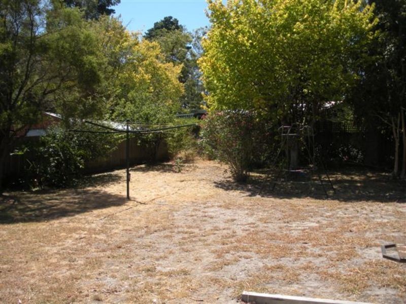 16 Velma Grove, Ringwood VIC 3134