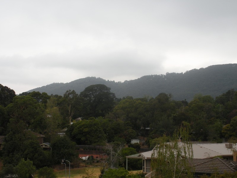 4 Winton Court, Montrose VIC 3765