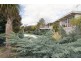 19 Cambridge Road, Mooroolbark VIC 3138