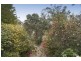 497 Don Road, Healesville VIC 3777