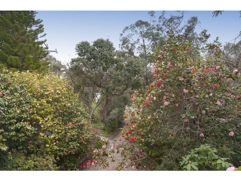 497 Don Road, Healesville VIC 3777