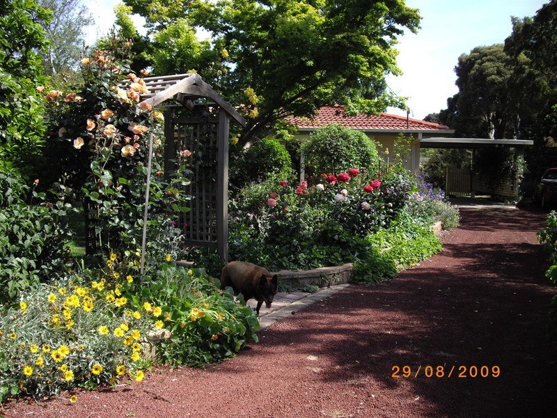 4 Thorpe Street, Lilydale VIC 3140