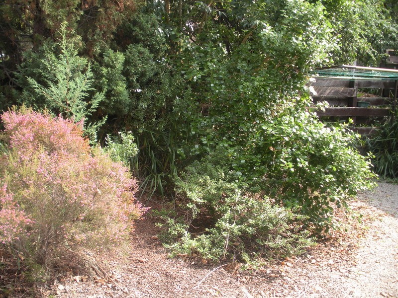 12/83a Lincoln Road, Croydon VIC 3136