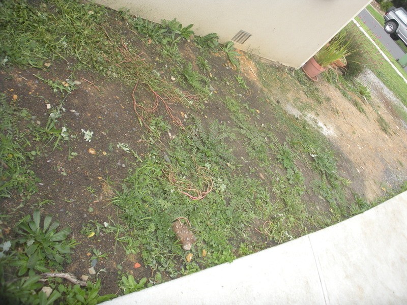 71 Cardigan Road, Mooroolbark VIC 3138