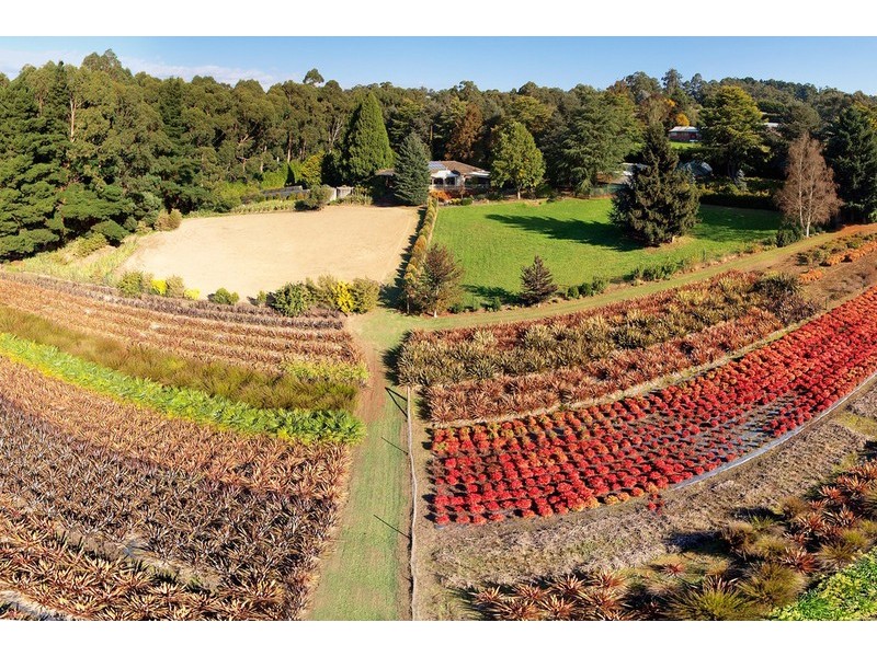 77 Wiseman Road, Silvan VIC 3795