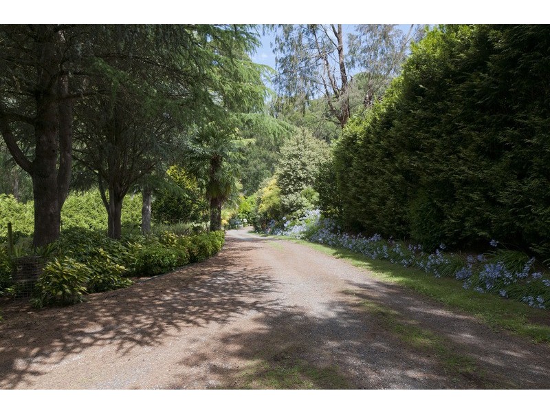 77 Wiseman Road, Silvan VIC 3795