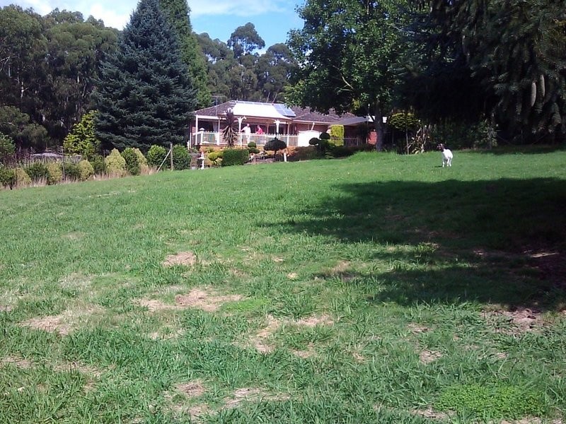 77 Wiseman Road, Silvan VIC 3795