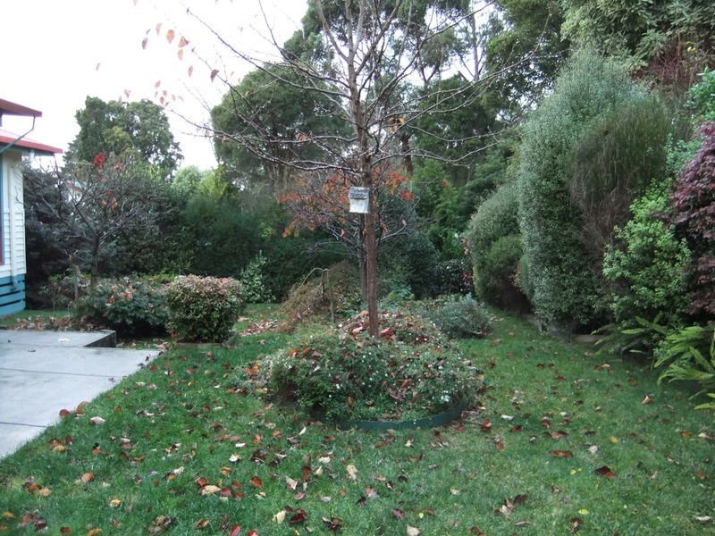 1 Adams Lane, Mount Evelyn VIC 3796