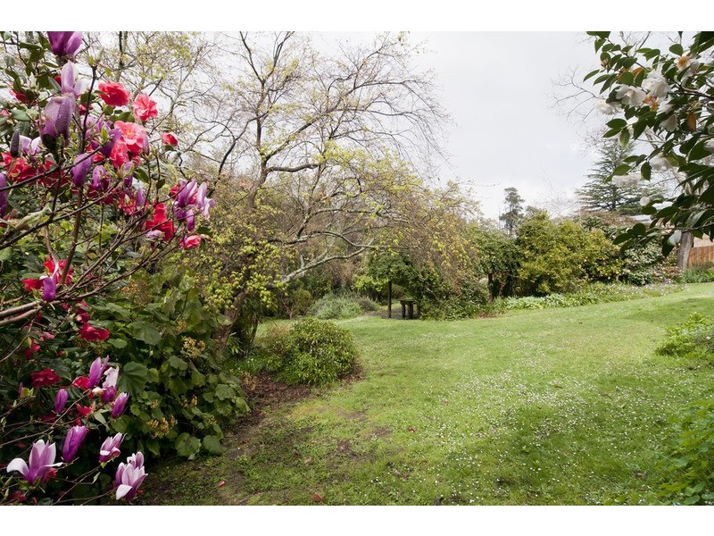 20 Henry Street, Montrose VIC 3765