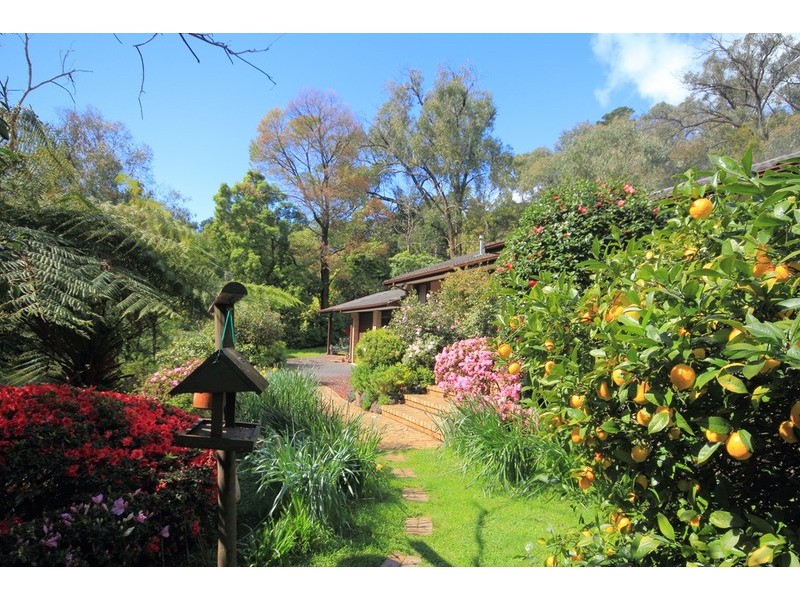 386 Sheffield Road, Montrose VIC 3765