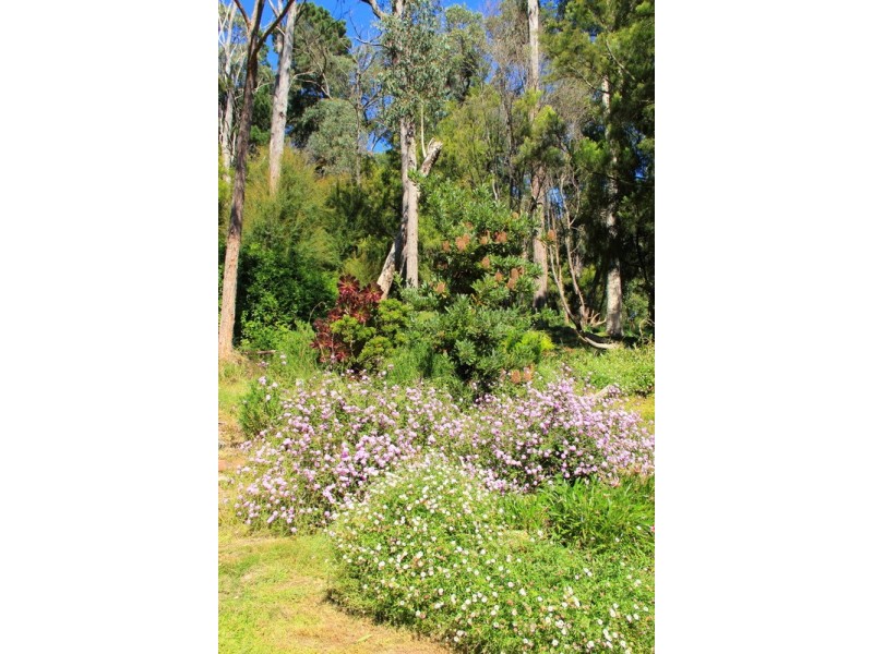 386 Sheffield Road, Montrose VIC 3765