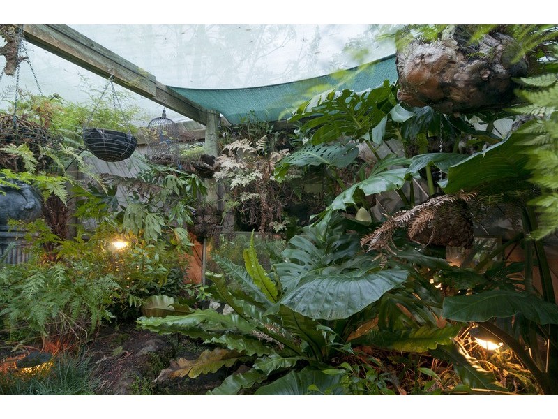 203 Cambridge Road, Mooroolbark VIC 3138