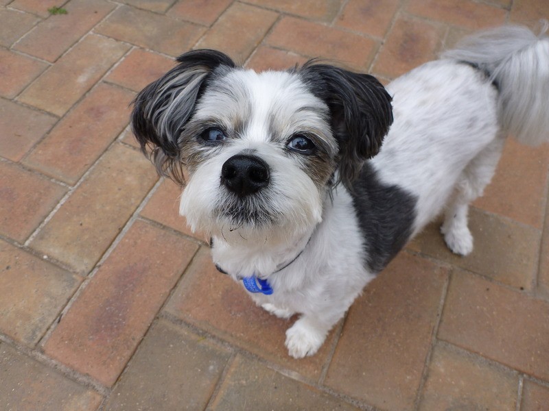 20 Orrong  Road, Mooroolbark VIC 3138