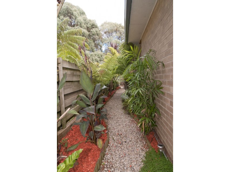 167 Dorset Road, Boronia VIC 3155