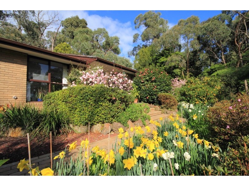 386 Sheffield Road, Montrose VIC 3765