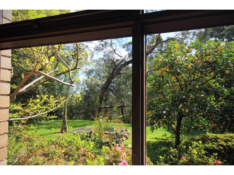 386 Sheffield Road, Montrose VIC 3765