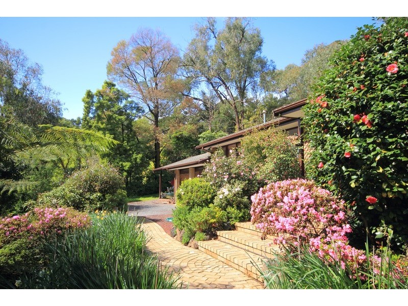 386 Sheffield Road, Montrose VIC 3765