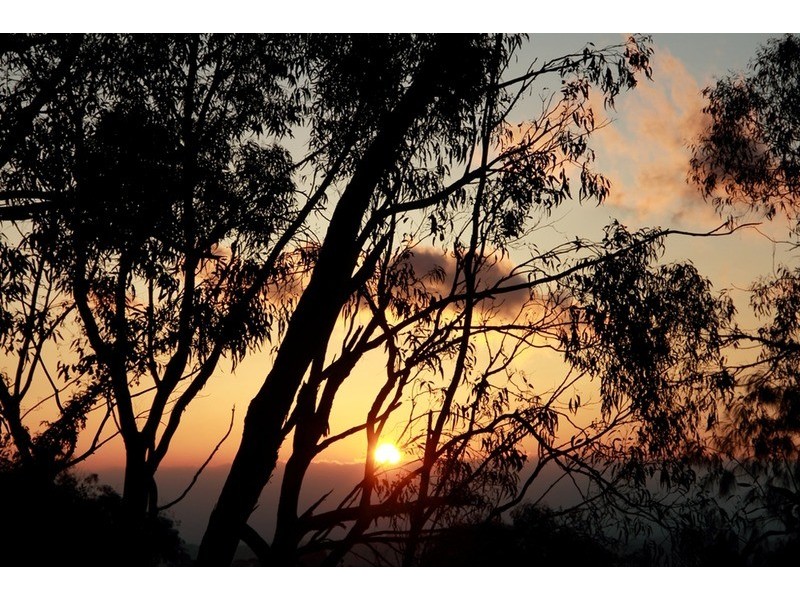 386 Sheffield Road, Montrose VIC 3765