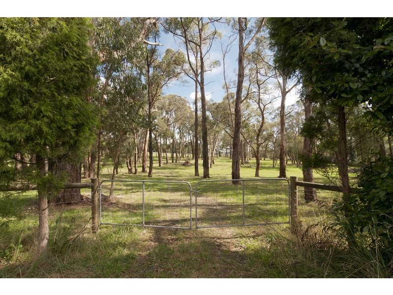 37 Belfast Road, Montrose VIC 3765