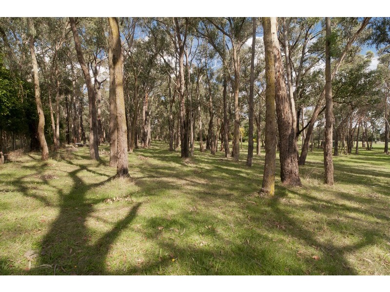 37 Belfast Road, Montrose VIC 3765