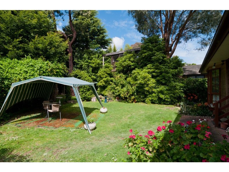 43 Montrose Road, Montrose VIC 3765