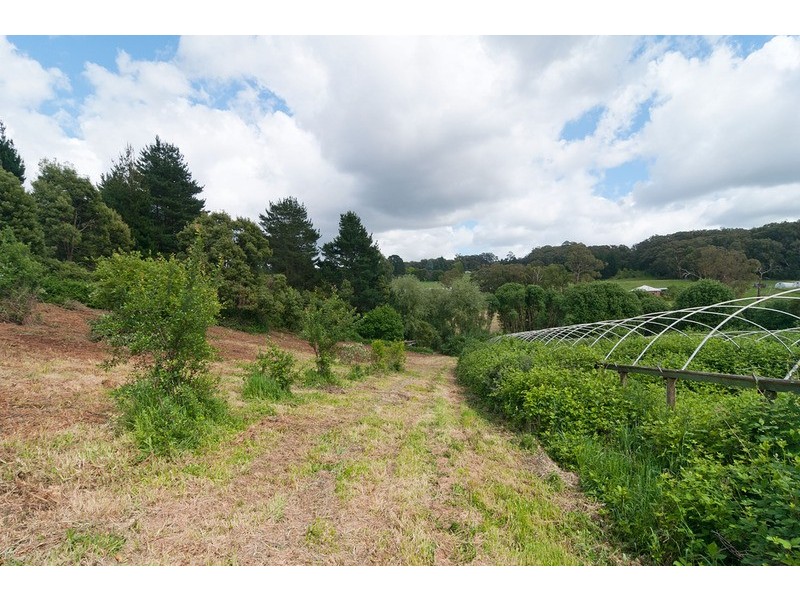 60 Ferndale Road, Silvan VIC 3795