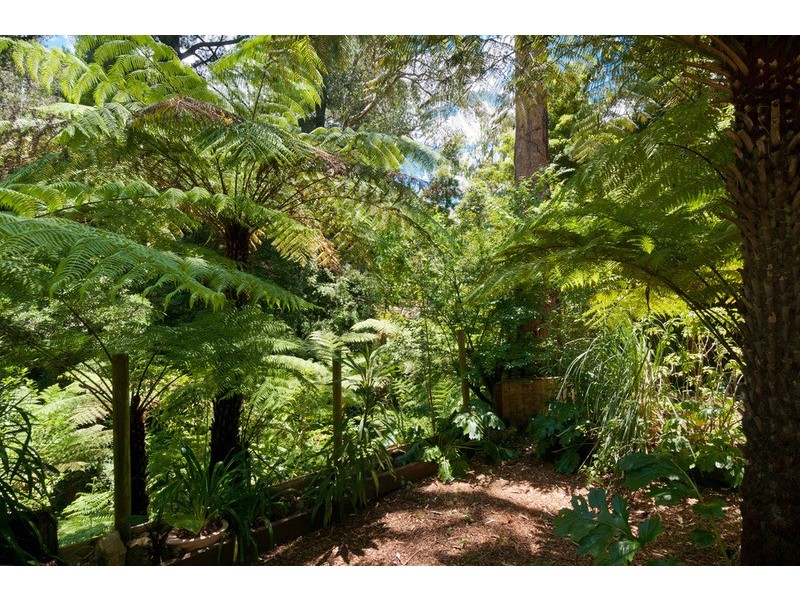 9 Wattle Avenue, Mount Evelyn VIC 3796