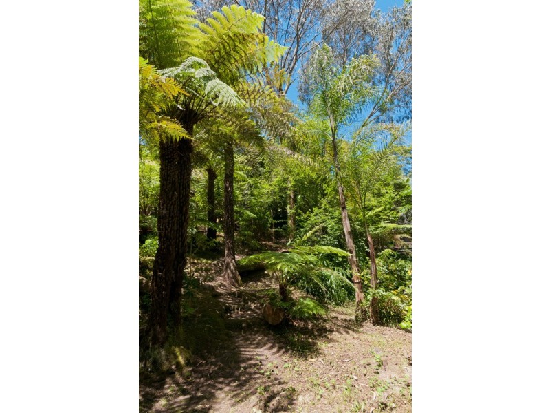 9 Wattle Avenue, Mount Evelyn VIC 3796