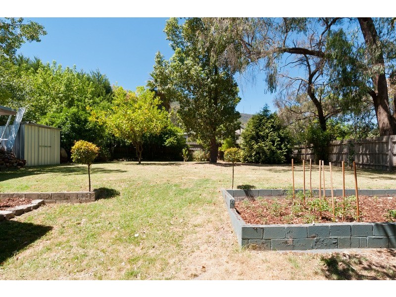 41 Aileen Avenue, Montrose VIC 3765