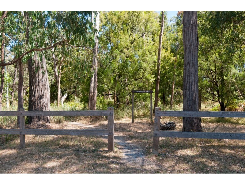 41 Aileen Avenue, Montrose VIC 3765