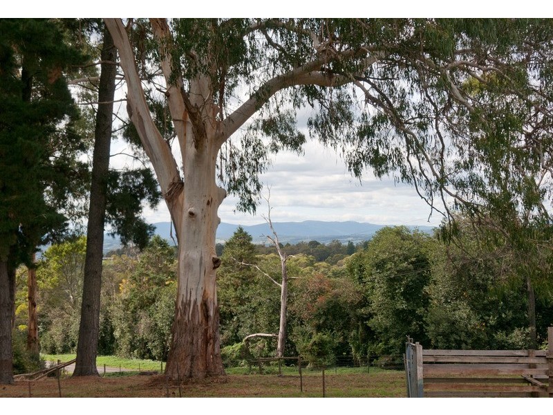 65 Wiseman Road, Silvan VIC 3795