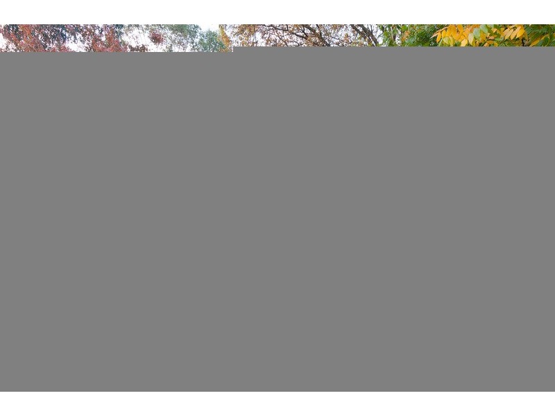 6 Thorpe Street, Lilydale VIC 3140