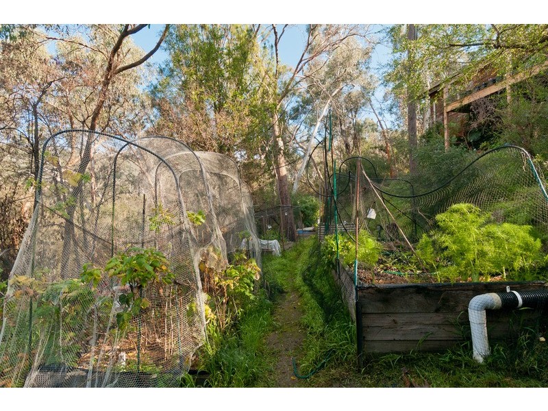 31 Pigeon Bank Road, Warrandyte VIC 3113