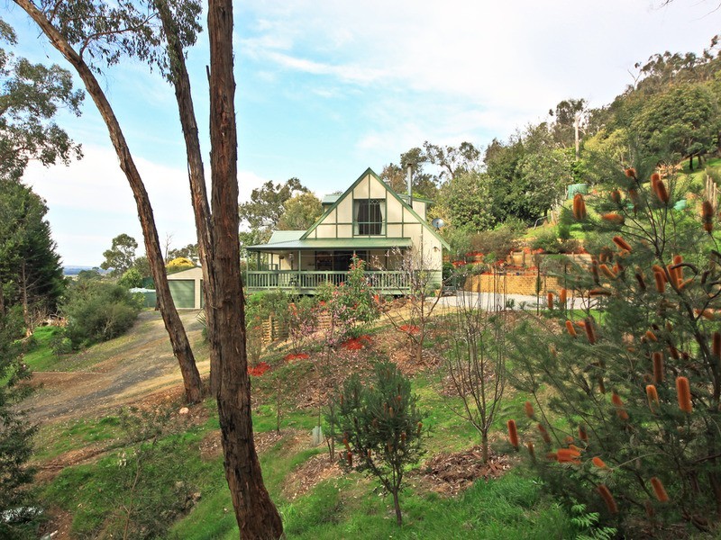 100 Healesville-Yarra Glen Road, Healesville VIC 3777