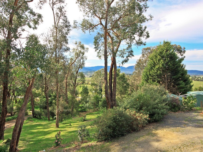100 Healesville-Yarra Glen Road, Healesville VIC 3777
