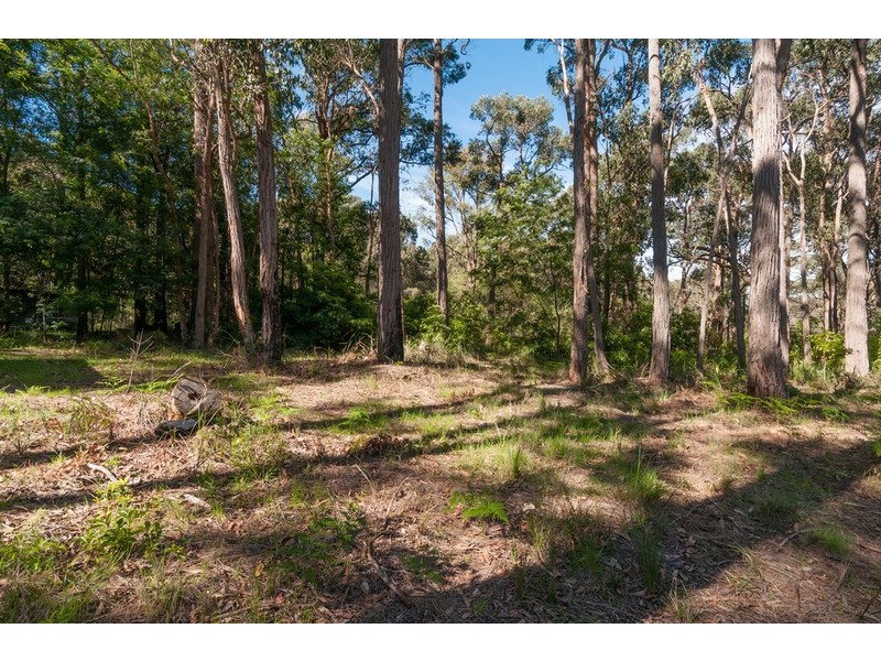 2/3 Ruby Road, Montrose VIC 3765