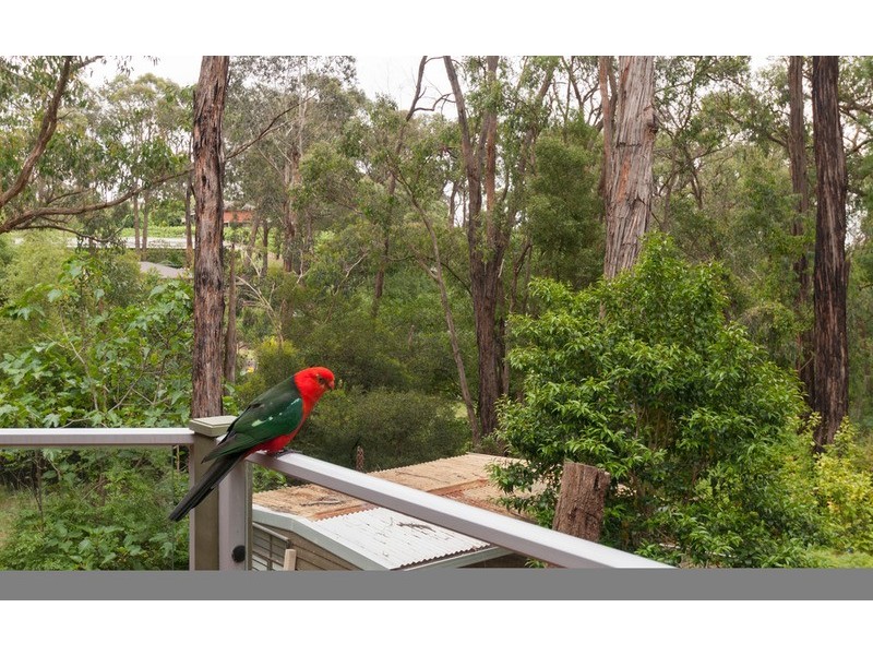 75 Moore Avenue, Montrose VIC 3765