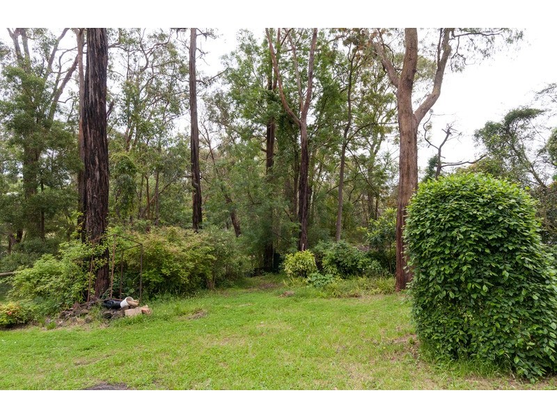 75 Moore Avenue, Montrose VIC 3765