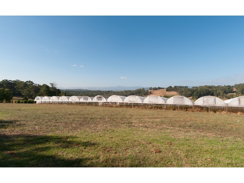 31 Bamfield Road, Mount Evelyn VIC 3796