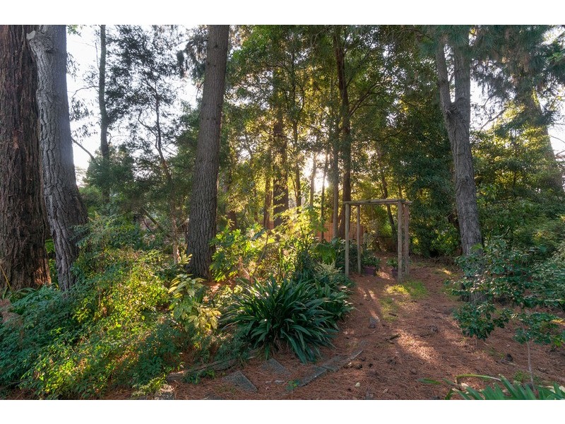 11 Walker Road, Montrose VIC 3765