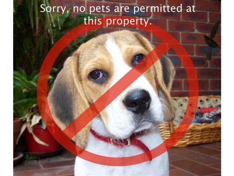 8 Balmoral Street, Kilsyth VIC 3137