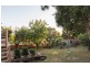 5 Iris Court, Mooroolbark VIC 3138