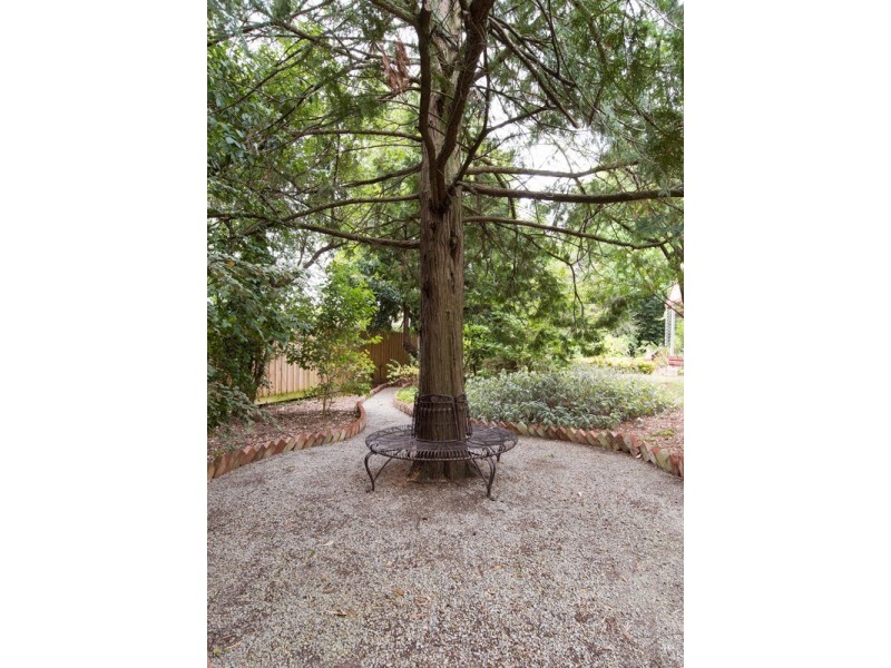 22 Montrose Road, Montrose VIC 3765