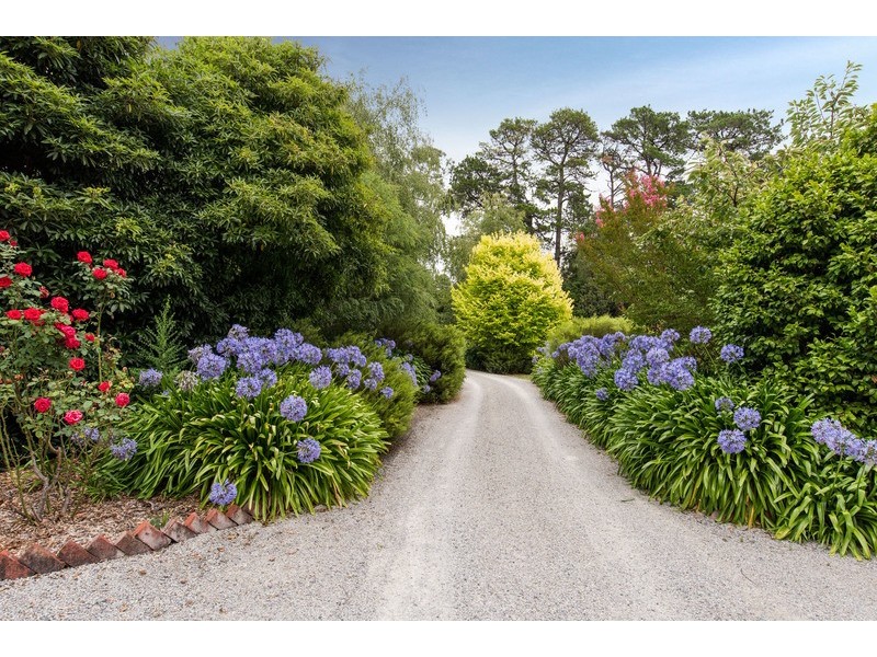 22 Montrose Road, Montrose VIC 3765