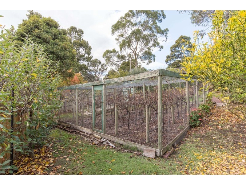 23 Williams Road, Mooroolbark VIC 3138