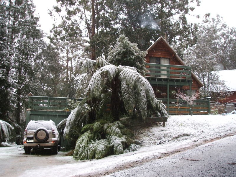 11 Scotty’s Track, Tanjil Bren VIC 3833