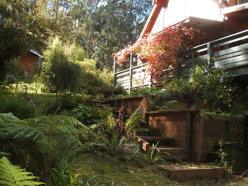 11 Scotty’s Track, Tanjil Bren VIC 3833