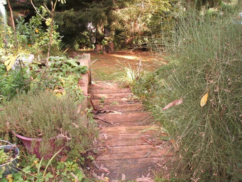 11 Scotty’s Track, Tanjil Bren VIC 3833